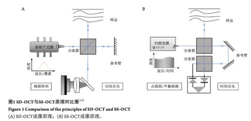 扫频光学相干断层成像技术及其在眼科的应用 眼科学报 杂志文章精选