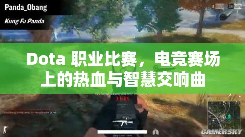 Dota 职业比赛，电竞赛场上的热血与智慧交响曲