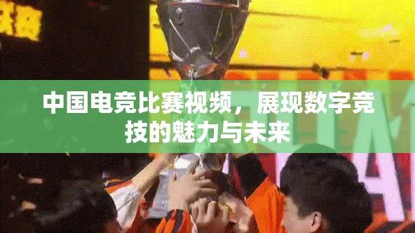 中国电竞比赛视频，展现数字竞技的魅力与未来